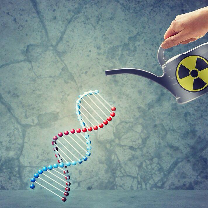 Toxin Exposure Reduction Strategies