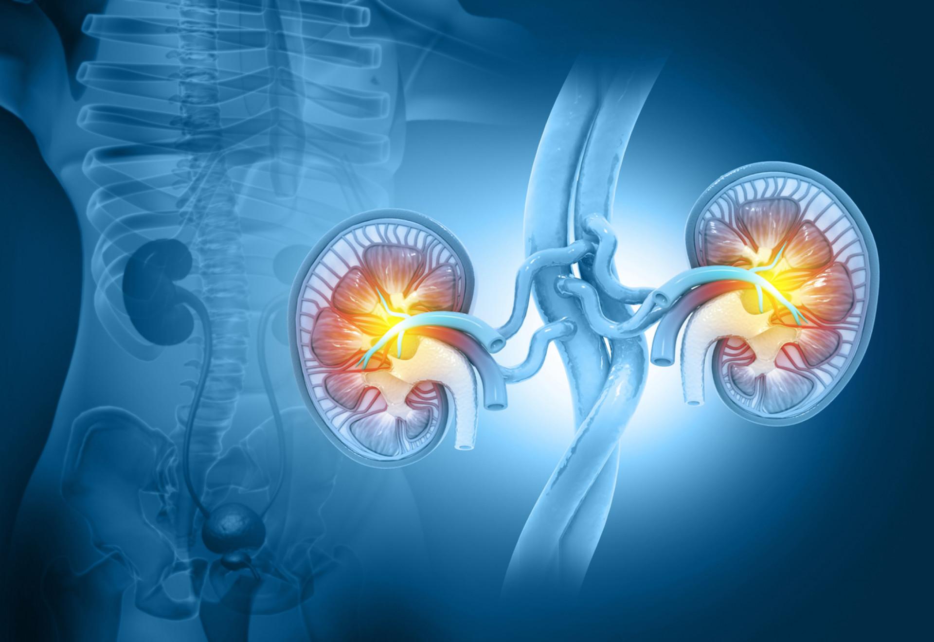 Why does uncontrolled blood sugar damage kidneysqwe