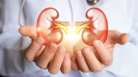 Diabetes medications and their effect on kidney health