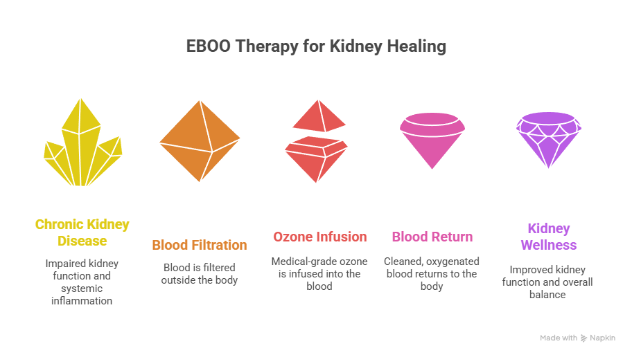 EBOO Therapy: The Power of Ozone for Kidney Health and Whole-Body Healing  By Dr. Bismah Irfan, MD | Functional Nephrologist